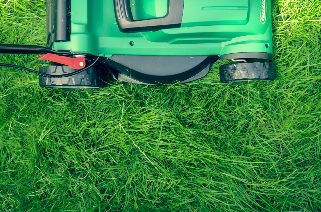How green is your grass?- lawn mowing and climate change