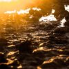 Think before you dig NOV-21-daniel-sturgess-bRpCIc8pJzc-unsplash