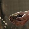 The Compost Heap – the ‘Heart Chakra’ of the Garden APRIL22-gabriel-jimenez-jin4W1HqgL4-unsplash