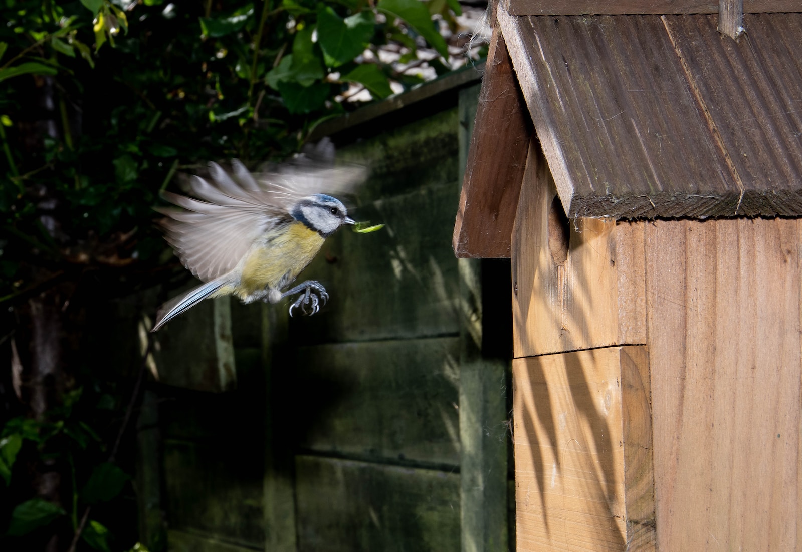 a bird is flying near a bird house